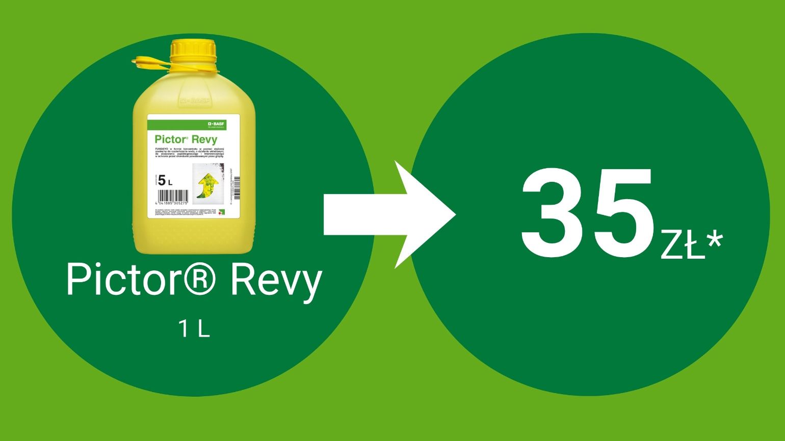pictor-revy-benefito-PL