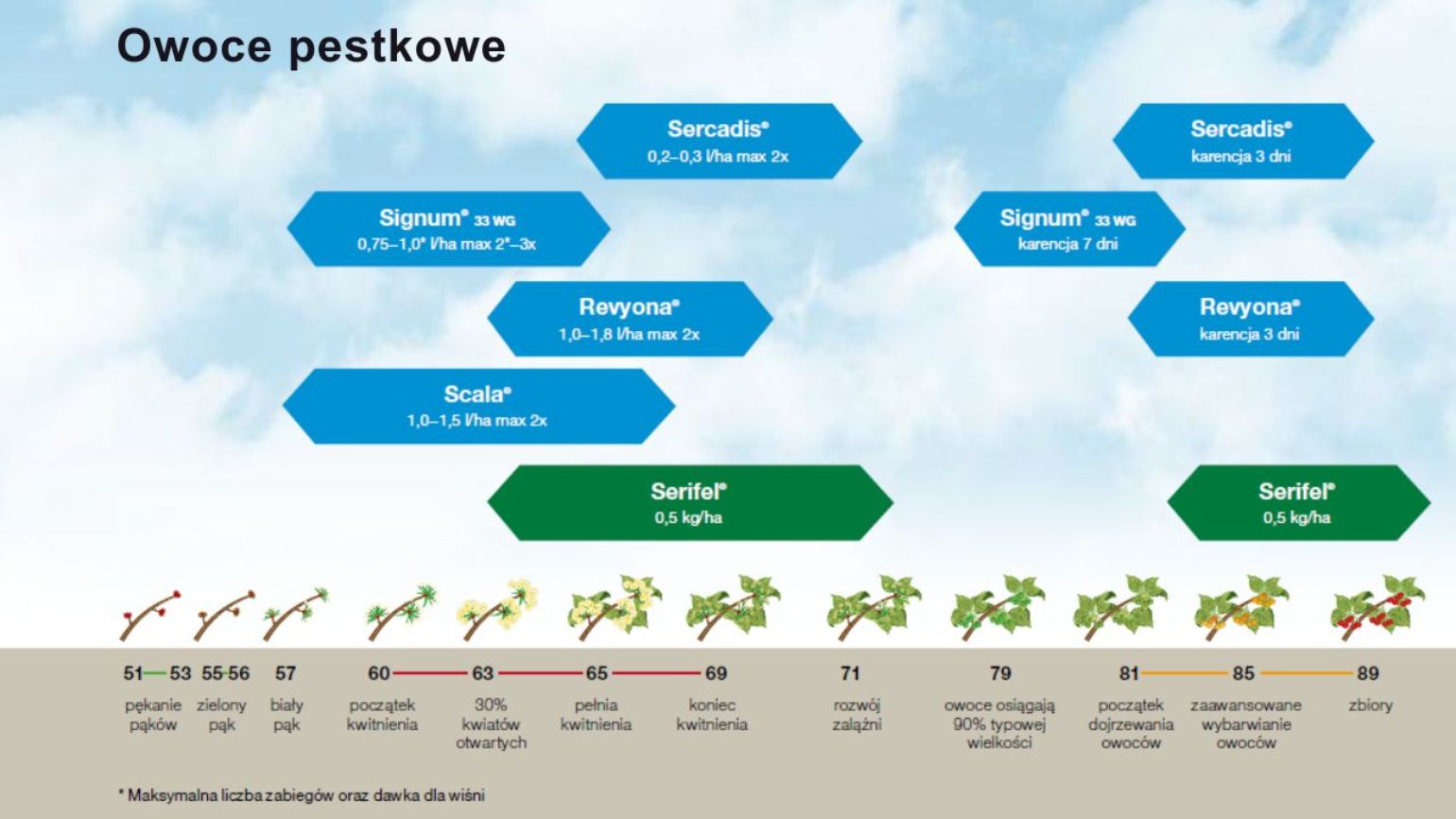 owoce-pestkowe-bbch